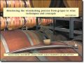Monitoring the Winemaking Process from Grapes to Wine ( -   )